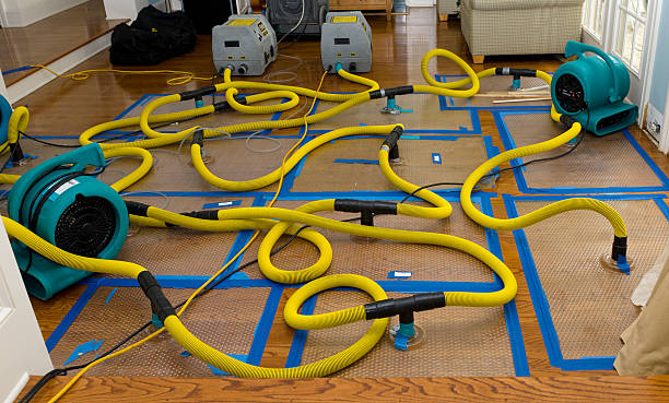 Professional Basement Flood Cleanup technician working in New Holland, OH